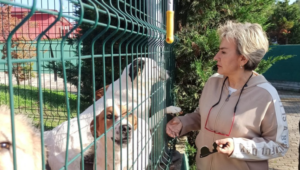 20241130 234011 0000