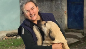 20241130 234117 0000