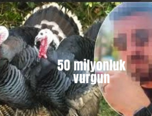 Hindi Bank’tan 50 milyonluk dolandırıcılık