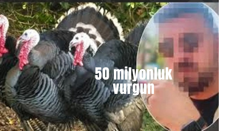 Hindi Bank’tan 50 milyonluk dolandırıcılık