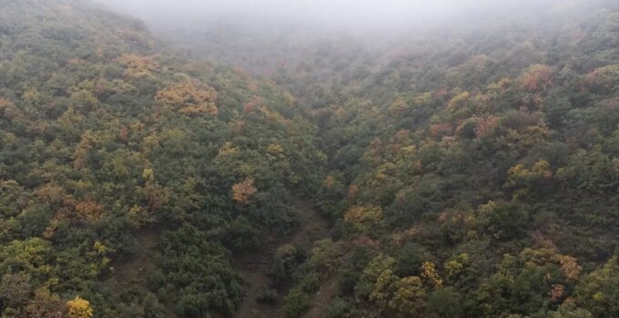 Bozdağ, doğanın görsel zengini