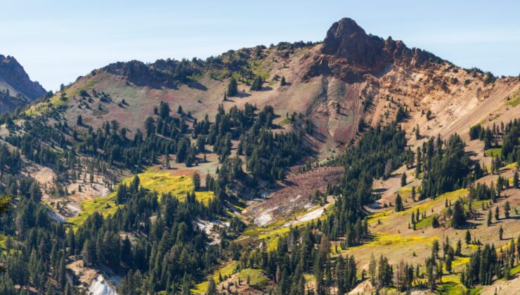 Nesli tükendi sanılıyordu, 100 yıl sonra ortaya çıktı: Ekosistemi değiştirecekler