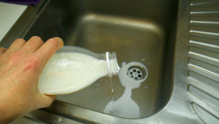 O süt markasını lavaboya döküyorlar: İneklerden bulaşan Yem takviyesi krizi