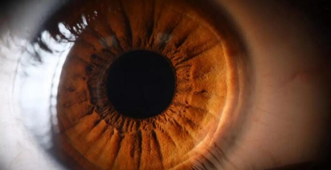 KAIST Bilim İnsanları, retina hasarını tersine çeviren devrimsel bir ilaç geliştirdi!