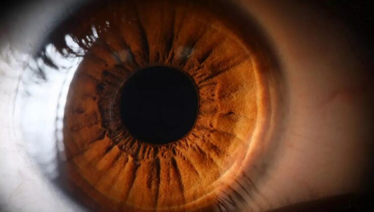 KAIST Bilim İnsanları, retina hasarını tersine çeviren devrimsel bir ilaç geliştirdi!