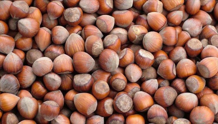 Fındık ihracatından rekor gelir