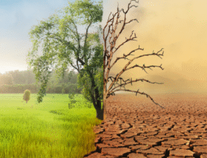 İklim Kanunu yürürlüğe girdi: Emisyon ticareti ve karbon kredileri tartışma yarattı