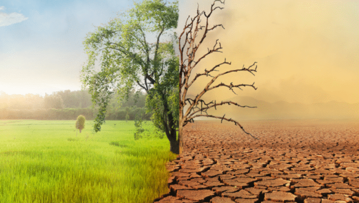 İklim Kanunu yürürlüğe girdi: Emisyon ticareti ve karbon kredileri tartışma yarattı