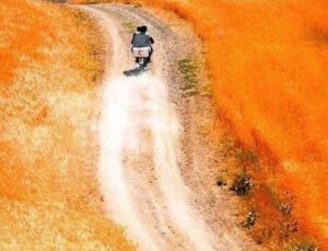 Doğu’dan yükselen özgün anlatı: İran Sineması’nda izlenmesi gereken 13 film