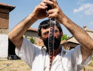 Sinema için bunca acıya değer mi?